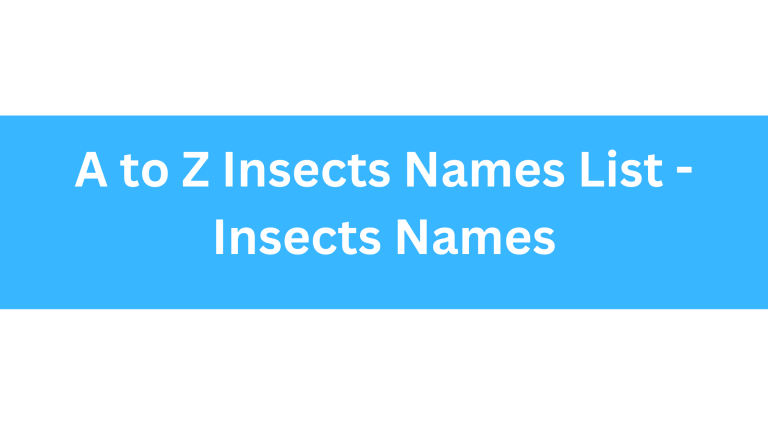 a to z Insects Names List - Insects Names