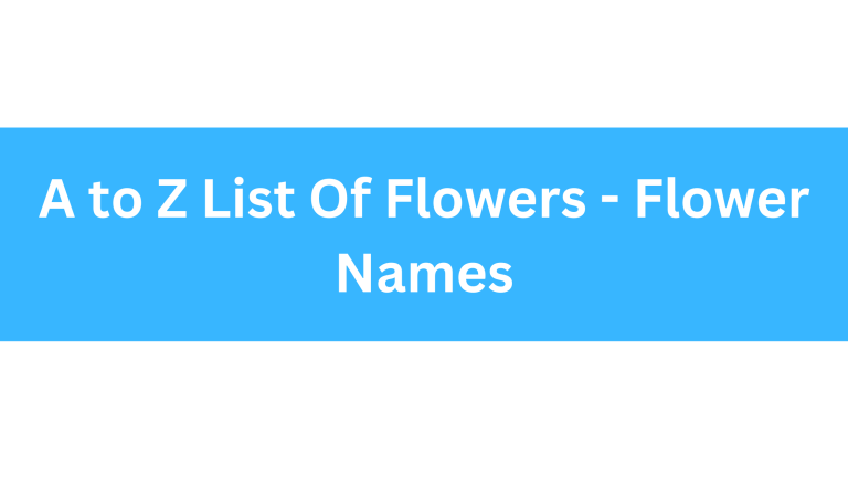 a to z list Of Flowers - Flower names