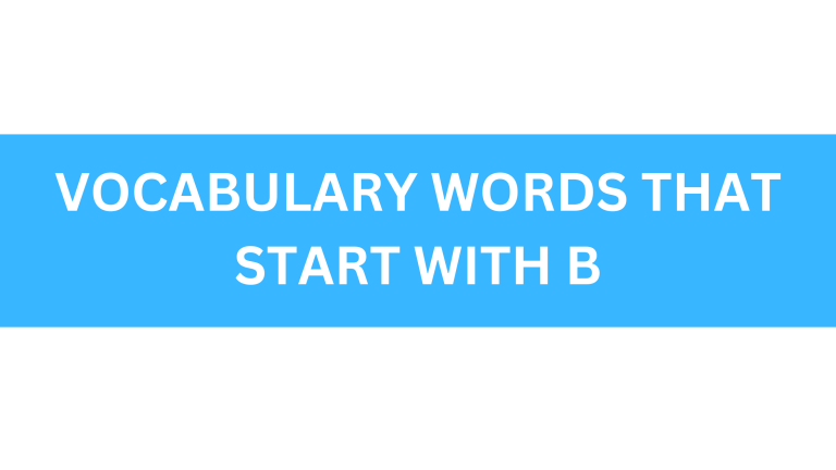 vocabulary words that start with b