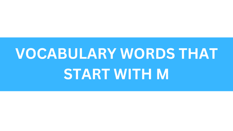 vocabulary words that start with m