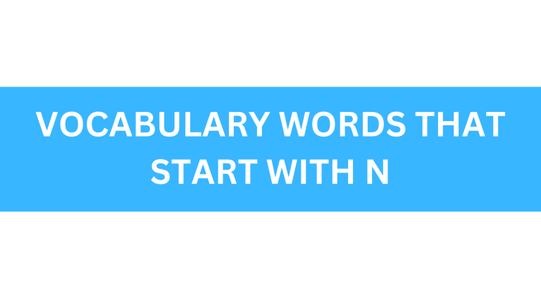 vocabulary words that start with n