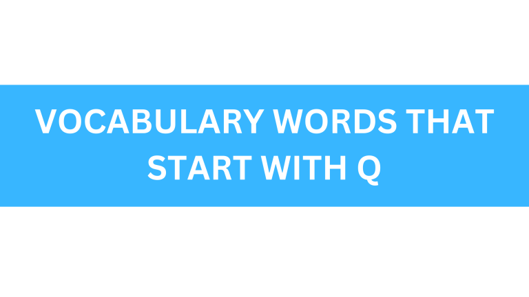 vocabulary words that start with q